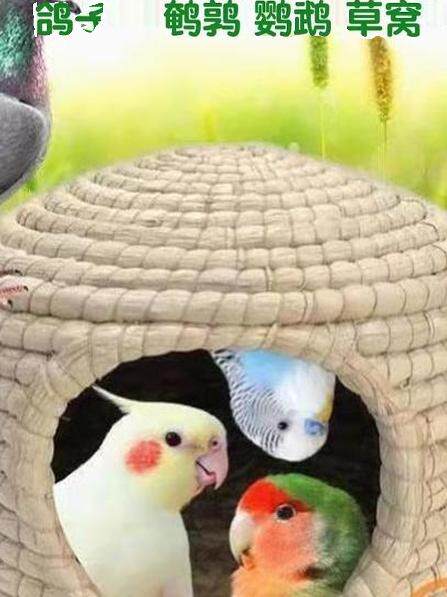 Pigeon Nest, Pigeon Nest, Pigeon Nest, Special Quail, Black Phoenix Bird Nest, Parrot Nest, Warm Bird's Nest, Egg-Laying Grass Nest