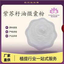 Perilla seed oil microcapsule powder 50% food raw material perilla seed extract factory direct supply in stock