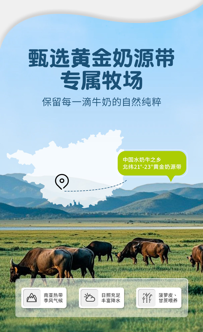 安享好物 安享B级纯奶-摩拉尤品A2 水牛纯牛奶 国标 