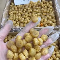 Light dried scallops scallops scallops scallop meat 200 heads special large scallops dried seafood dried seafood expanded fish gills