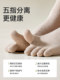 Catman Five Toe Socks Women's Pure Cotton Spring and Autumn Mid-Tube Socks Antibacterial and Deodorant Split Toe Socks Women's Boneless Long Socks