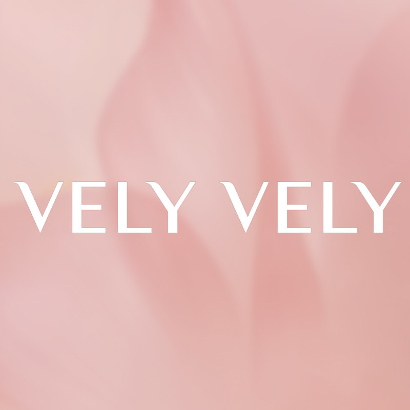 VELYVELY海外旗舰店的LOGO