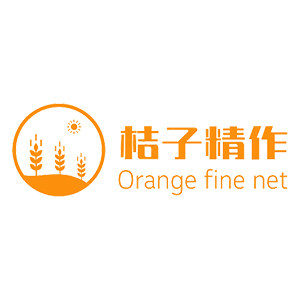 桔子精作网企业店