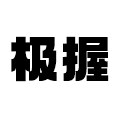 极握企业店的LOGO