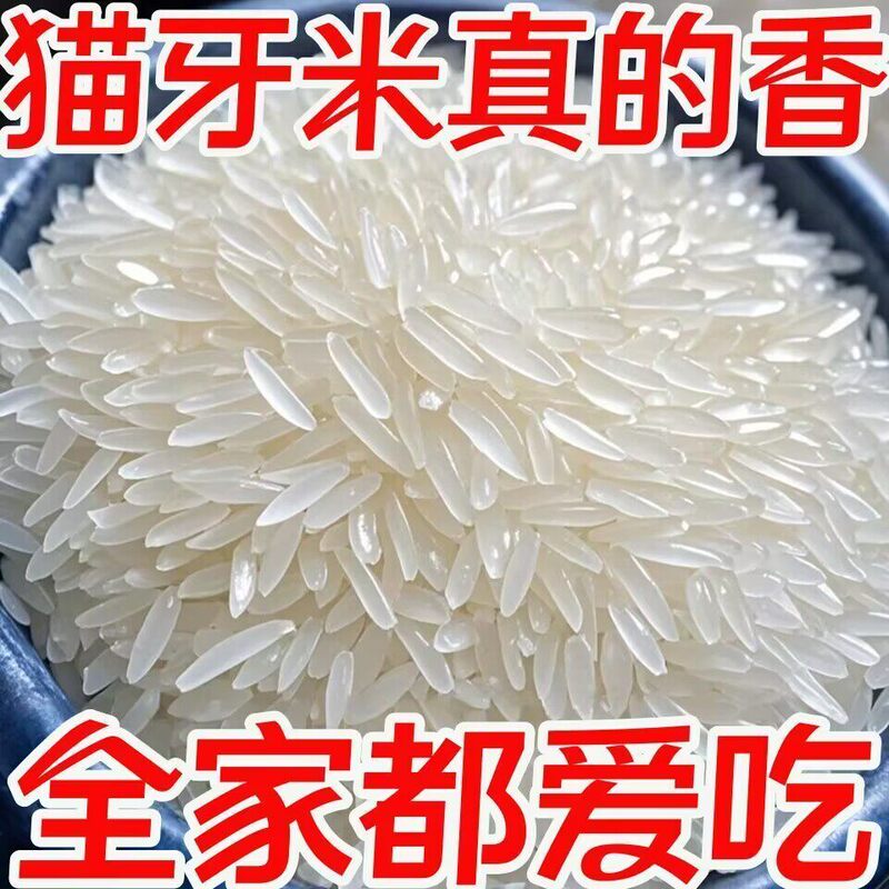 Fresh Cat Tooth Rice, a Specialty Food for Diabetics, Suitable for Diabetics, Pregnant Women, and the Elderly. a Sugar-Free, Sugar-Free-Sugar-Added-Free Whole Grain Staple Food and Nutritious Snack That Can Help Control Blood Sugar Fresh Cat Tooth Rice, a Specialty Food for Diabetics, Suitable for Diabetics, Pregnant Women, and the Elderly. a Sugar-Free, Sugar-Free-Sugar-Added-Free Whole Grain Staple Food and Nutritious Snack That Can Help Control Blood Sugar