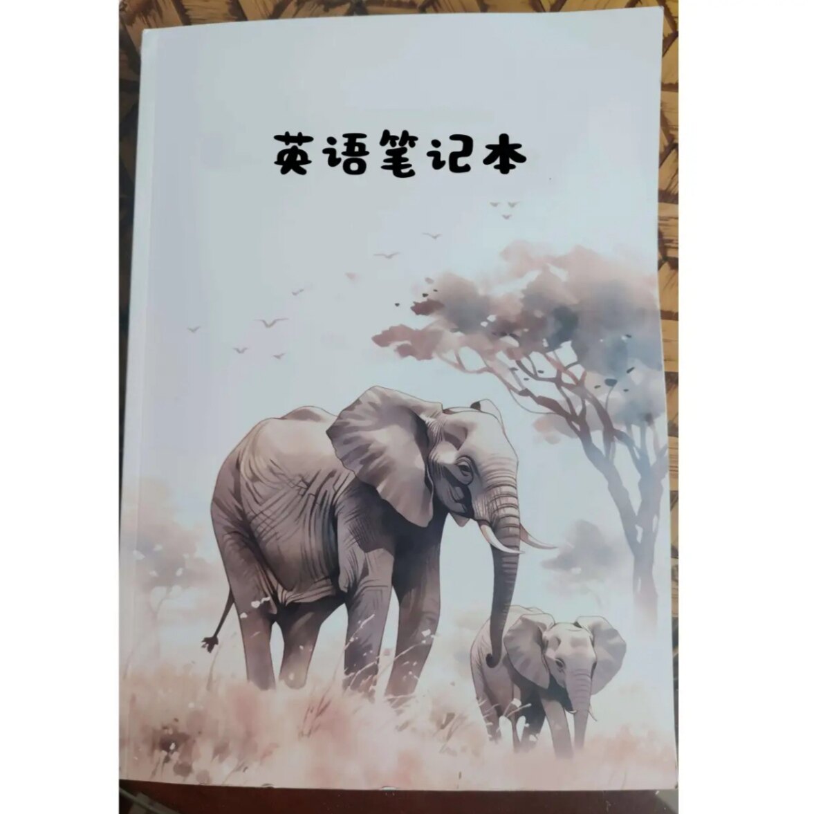 🌟杰米老师英语阅读笔记本，让孩子的英语学习不再枯燥！👶📚-小学升初中-淘宝好物网