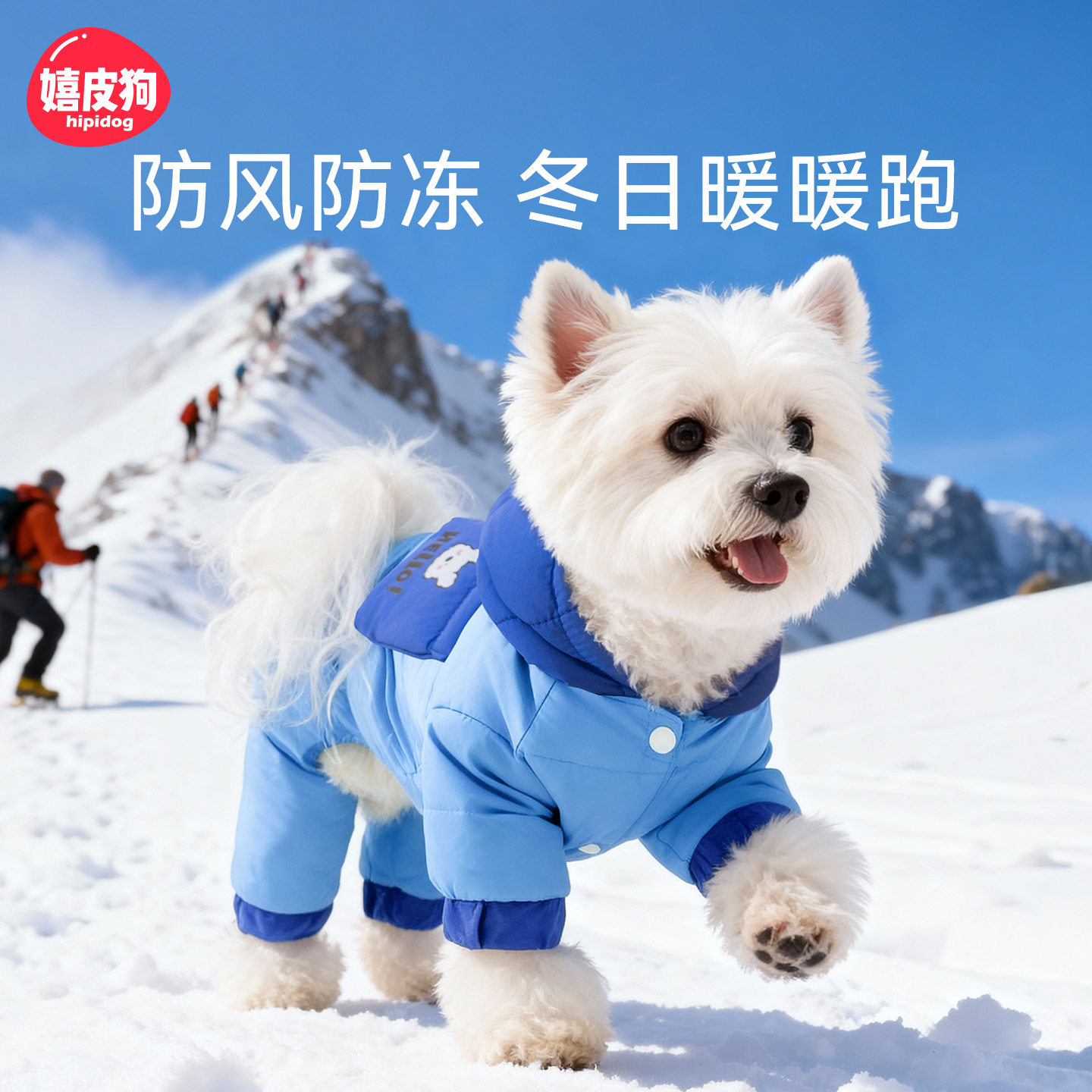比熊雪纳瑞等中小型犬冬季如何选保暖羽绒服？——加厚防风款成2026热门趋势