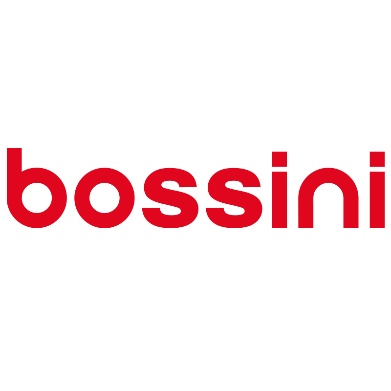 bossiniX运动户外旗舰店的LOGO