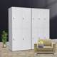 Direct sales new style locker employee dormitory iron storage cabinet with lock thick storage cabinet gym storage bag