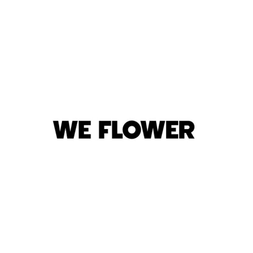 WeFlower小花鞋