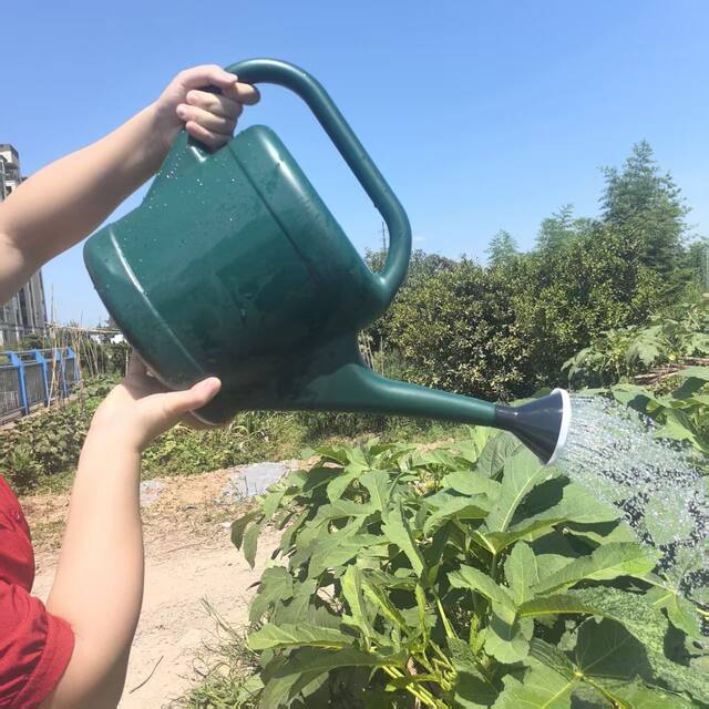 Watering Can for Home Use, Long Spout, Large Capacity, for Watering Vegetables, Garden Watering Can, Spray Nozzle, Small Garden Watering Pot