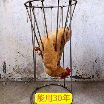 Chicken Slaughtering Tool, Stainless Steel Chicken Slaughtering Tool, Chicken Bloodletting Cone, Equipment for Slaughtering Chickens, Geese, and Ducks