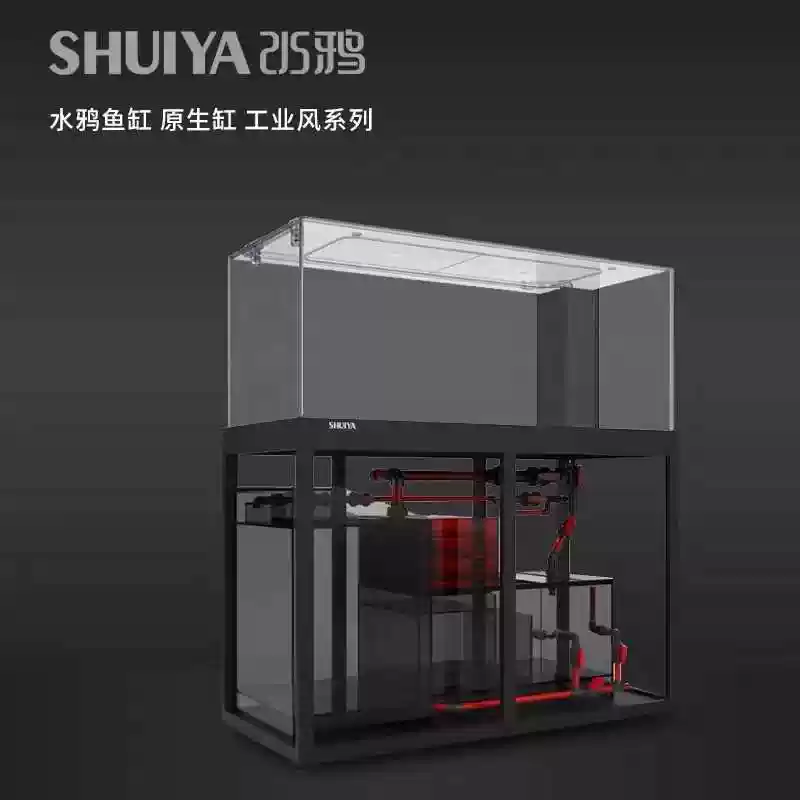 水鸦鱼缸野采溪流缸南美原生缸鱼缸客厅大型底滤缸七彩生态龙鱼缸 detail 4