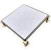 All-Steel Anti-Static Flooring Guangdong Guangzhou Pvc Anti-Static Flooring Ceramic Computer Room Raised 600*600 Anti-Static Flooring