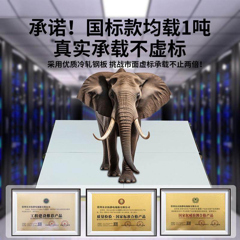 National Standard All-Steel Anti-Static Floor 600 600 Computer Room Pvc Anti-Static Elevated Movable Floor Weak Current Network