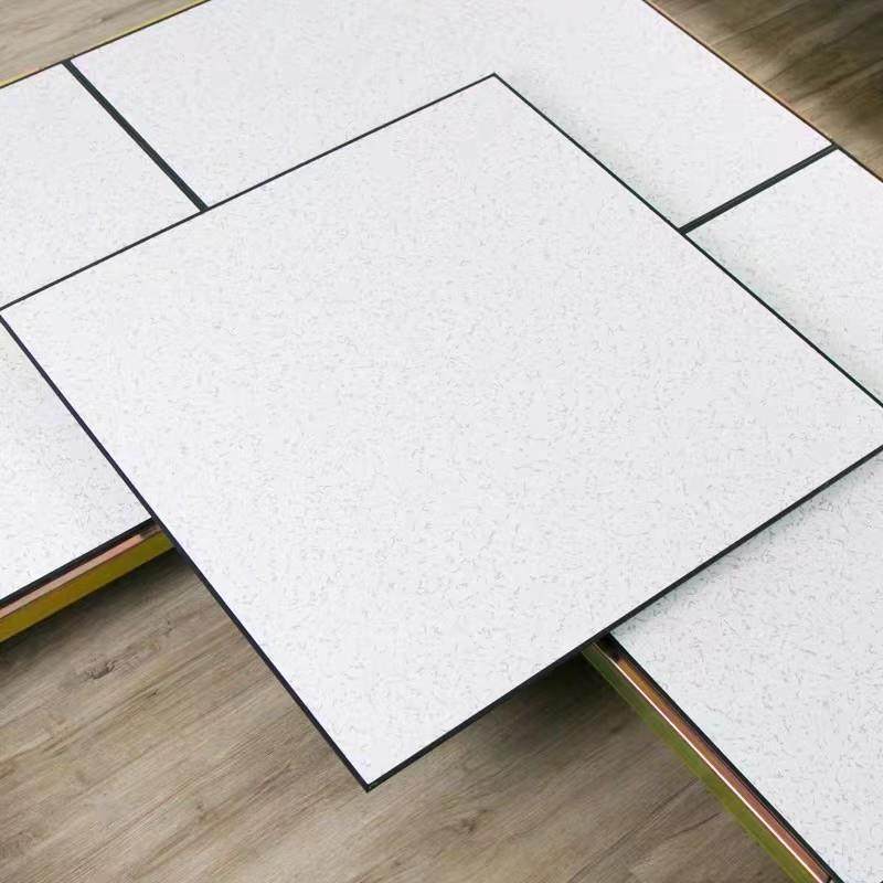 All-Steel Anti-Static Floor School Special Rack Empty Movable Floor 600 Clean Workshop Adjustable Electrostatic Floor