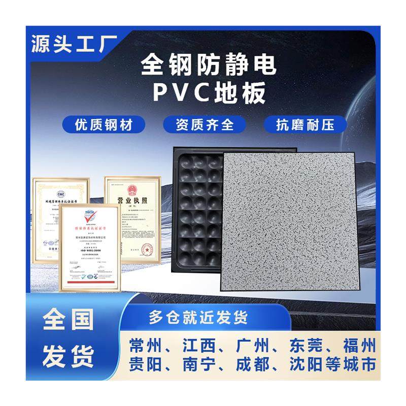 All-Steel Anti-Static Floor 600X600, Anti-Static Raised Floor for Computer Room, Pvc Ceramic Network Floor