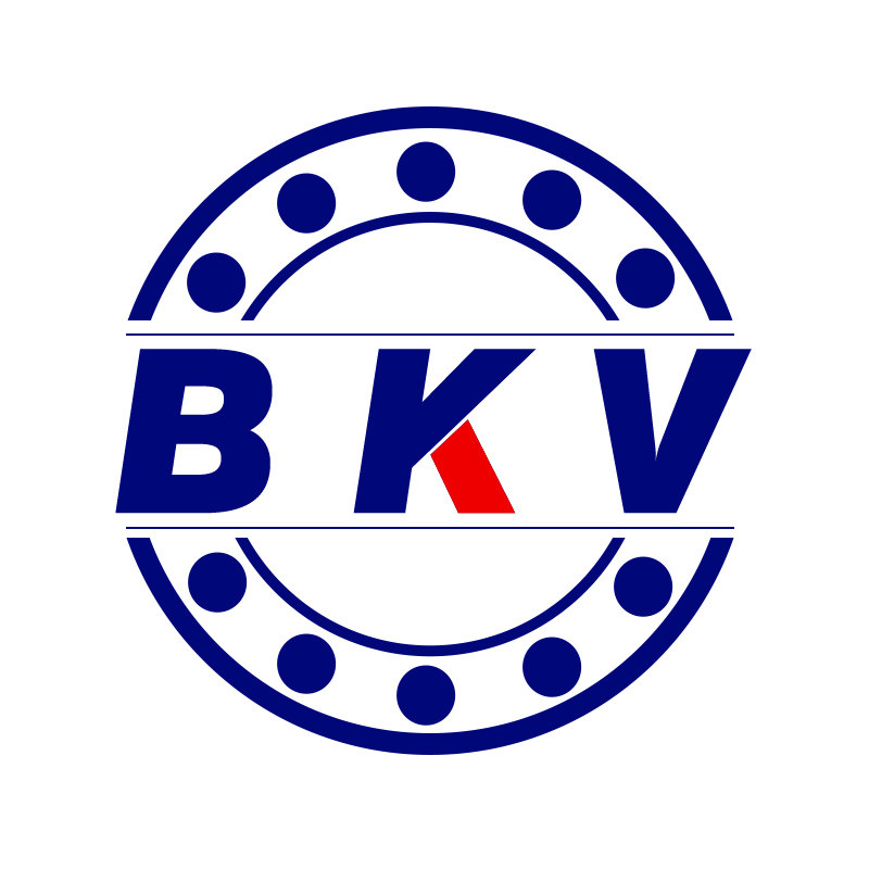 bkv旗舰店