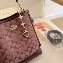 Recommended high-end light luxury womens bags shoulder bags handbags crossbody bags versatile Chen 28