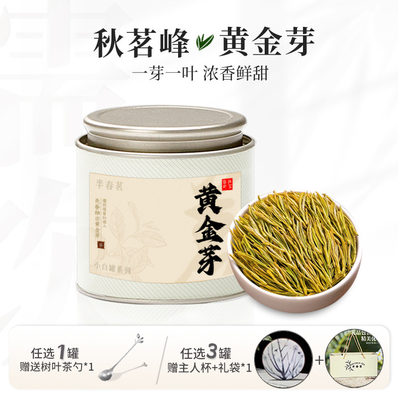 黄金芽2024新茶官方旗舰店正品绿茶茶叶小罐装自己喝送礼佳品