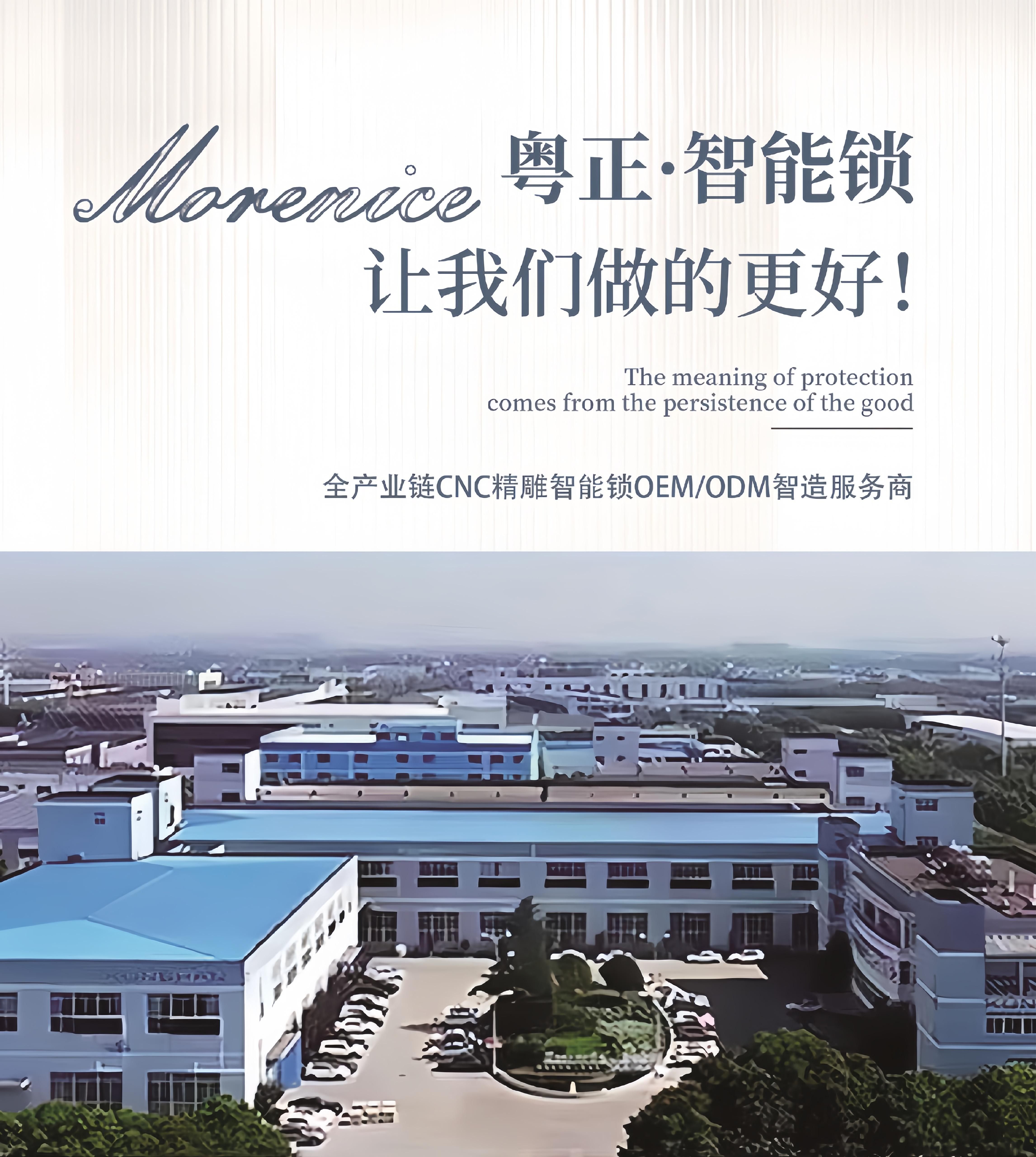 Электронный замок morenice蓝牙通通智能锁出租房办公室公寓民宿指纹锁远程密码锁
