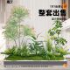 Artificial Green Plants, Landscaping Potted Plants, Fake Trees, Indoor Stair Corner Decoration, European-Style Window Display Plants, Artificial Trees