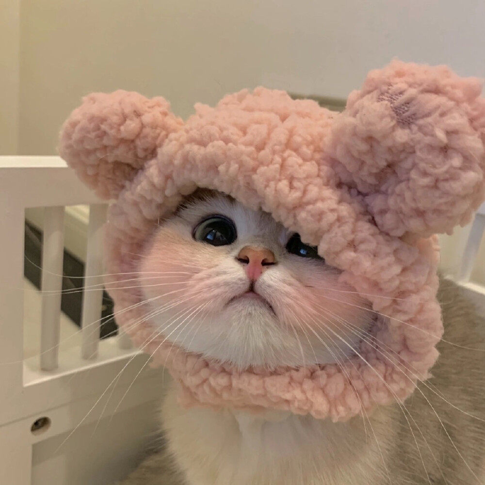 新未来小铺