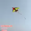 Weifang kite new fighter net red children's adult personality large kite special price