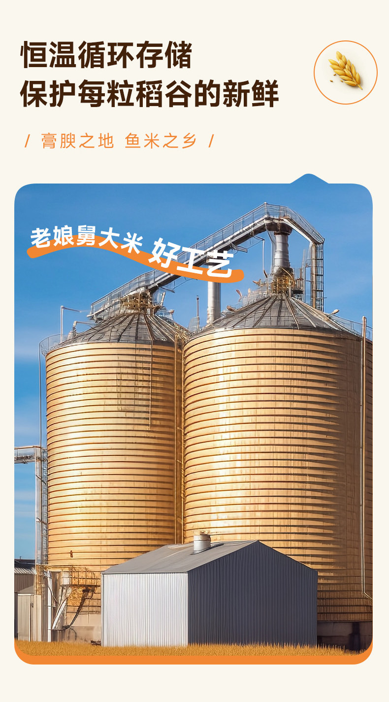 安享好物 安享E级粳米-老娘舅香稻米 国标 
