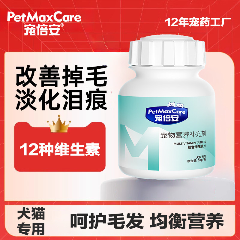 南京七桥瓮宠物市场有哪些特色？带你了解2026最新动态！