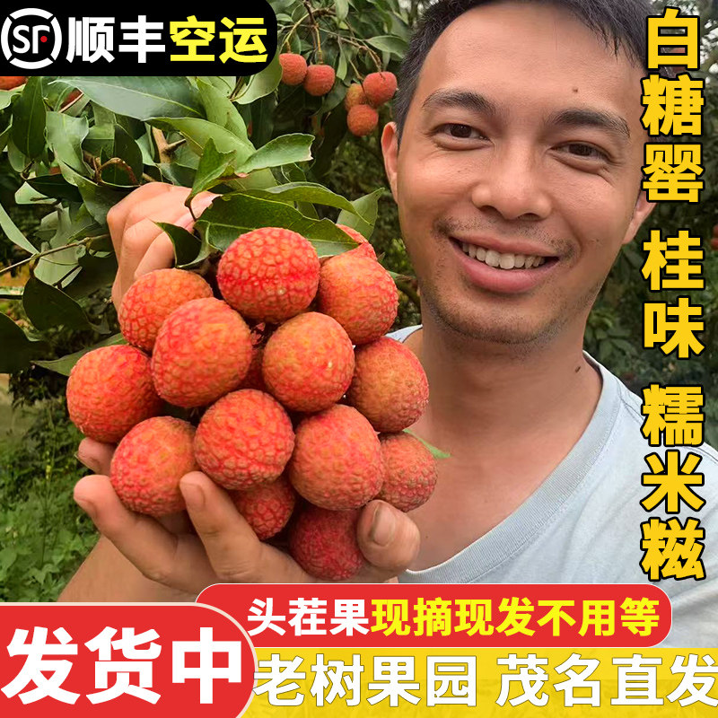 白糖罂荔枝广东茂名高州现摘现发!5斤整箱顺丰包邮,甜到心尖尖上!-荔枝-淘宝好物网
