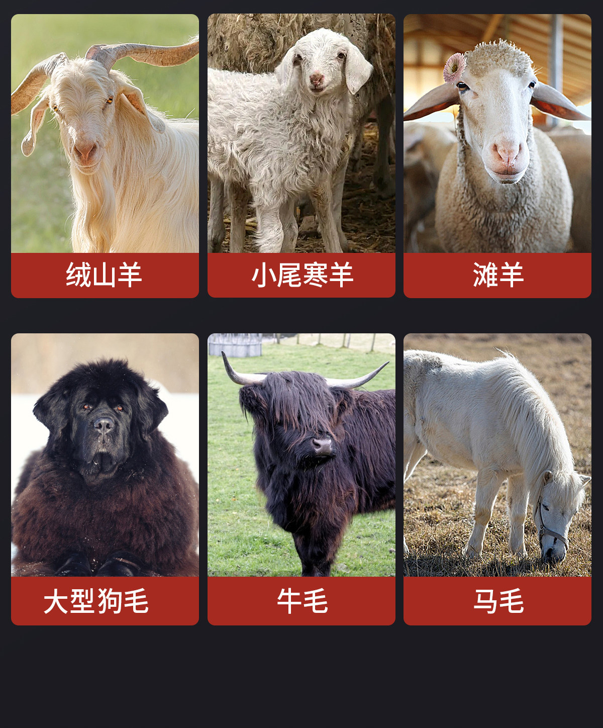 Ножницы 电动羊毛剪专用给绵羊剃毛的剪子脏羊剪毛机剃毛神器大功率电推子