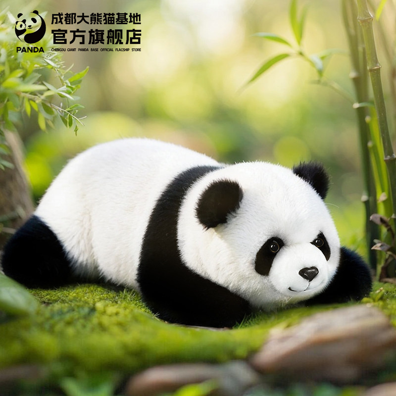Chengdu Giant Panda Base Lying Posture Plush Toy Doll Cultural and Creative Mid-Autumn Festival Birthday Decoration Arrangement