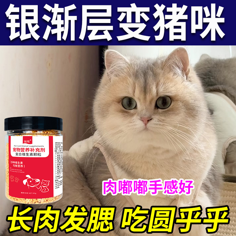 Silver Gradient Weight Gain Supplement for Cats, Specifically for Fattening Cheeks and Rapid Weight Gain, Pet Vitamins