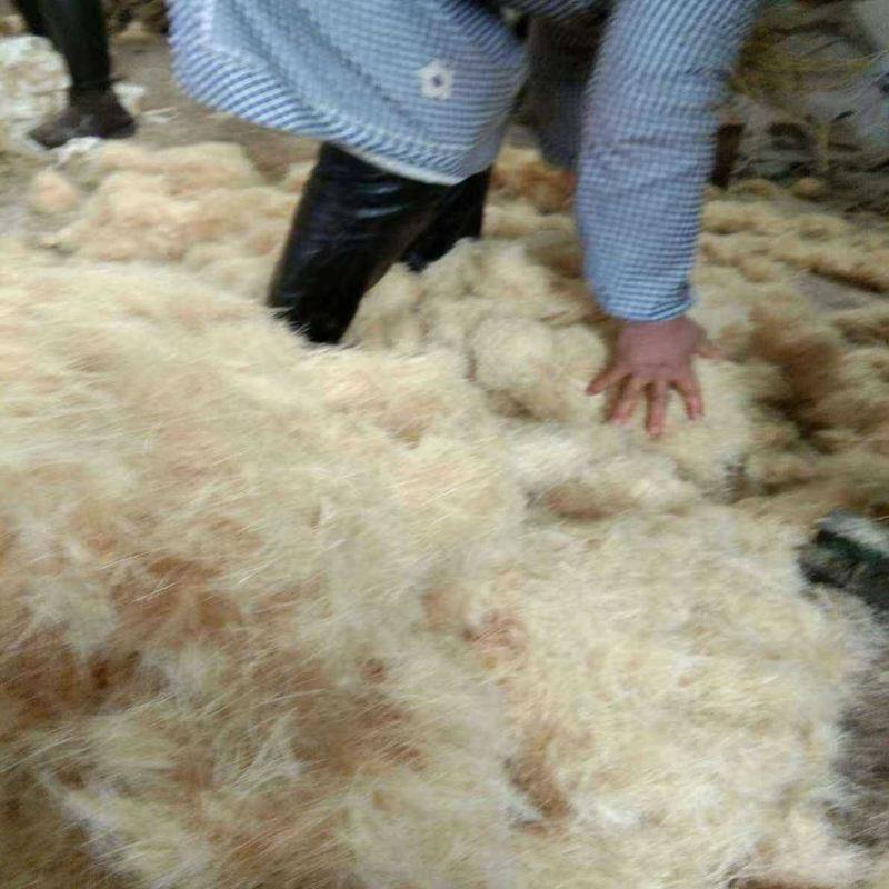 短切剑麻黄麻纤维麻刀古建筑麻倒泥塑麻刀白灰麻刀水泥麻刀-淘宝Taobao | 天猫Tmall
