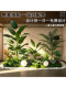 Simulated Green Plant Landscaping Combination, Light Luxury Window Decoration, Fake Plant Landscape, Indoor and Outdoor Floor-To-Ceiling Set under the Stairs