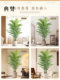 Simulated green plant loose tail sunflower high-end light luxury style fake tree indoor living room floor decoration landscaping bionic green plant potted plant