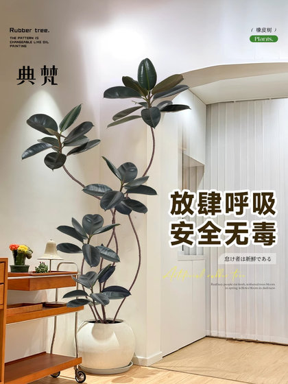 Artificial Green Plant Landscaping Rubber Tree, High-End Luxury Living Room Tv Cabinet Floor Decoration, Indoor Black Diamond Plant