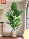 Bird of Paradise Artificial Plant Fake Flower Decoration Indoor Living Room Decoration Ornaments High-End Artificial Flowers