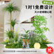 Indoor Artificial Plant Landscaping, Large Artificial Green Plant Combination, Landscape Decoration, Fake Plants under the Stairs, Floor-Standing Ornaments