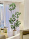 Artificial Dracaena Plant for Indoor Living Room, High-End Luxury Faux Plant Decoration, Large Floor-Standing Potted Ornament, Fake Tree