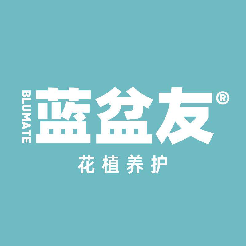 蓝盆友旗舰店
