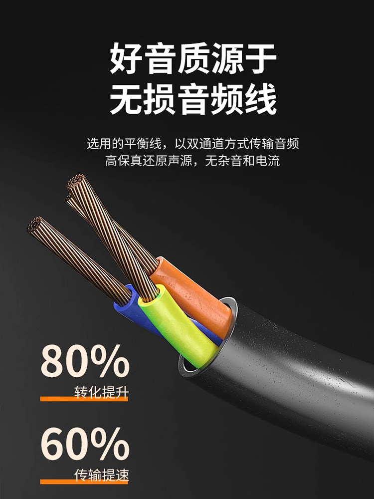 Shanshui Metal Wired Dynamic Microphone Professional Home Ktv Singing Stage Dedicated Microphone with Audio Connection