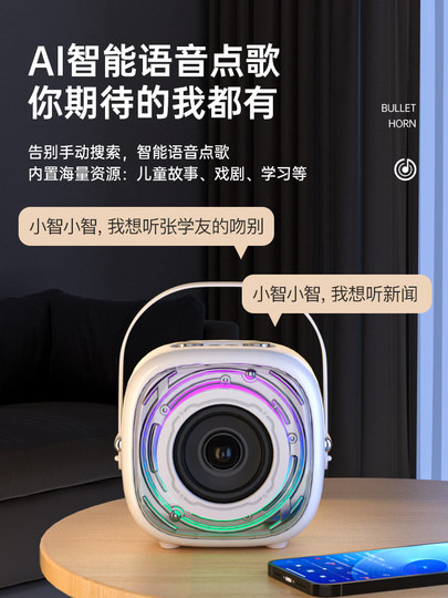 TANALAZ Tanula k29 Audiomikrofon integrierter Bluetooth-Lautsprecher tragbares kabelloses Heim-Karaoke