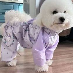 Dog Jumpsuit Is Anti-Dirt and Anti-Hair Loss, Easy to Put on and Take Off, Suitable for Spring and Summer Outings, Anti-Slip and Anti-Dirt Pet Clothing