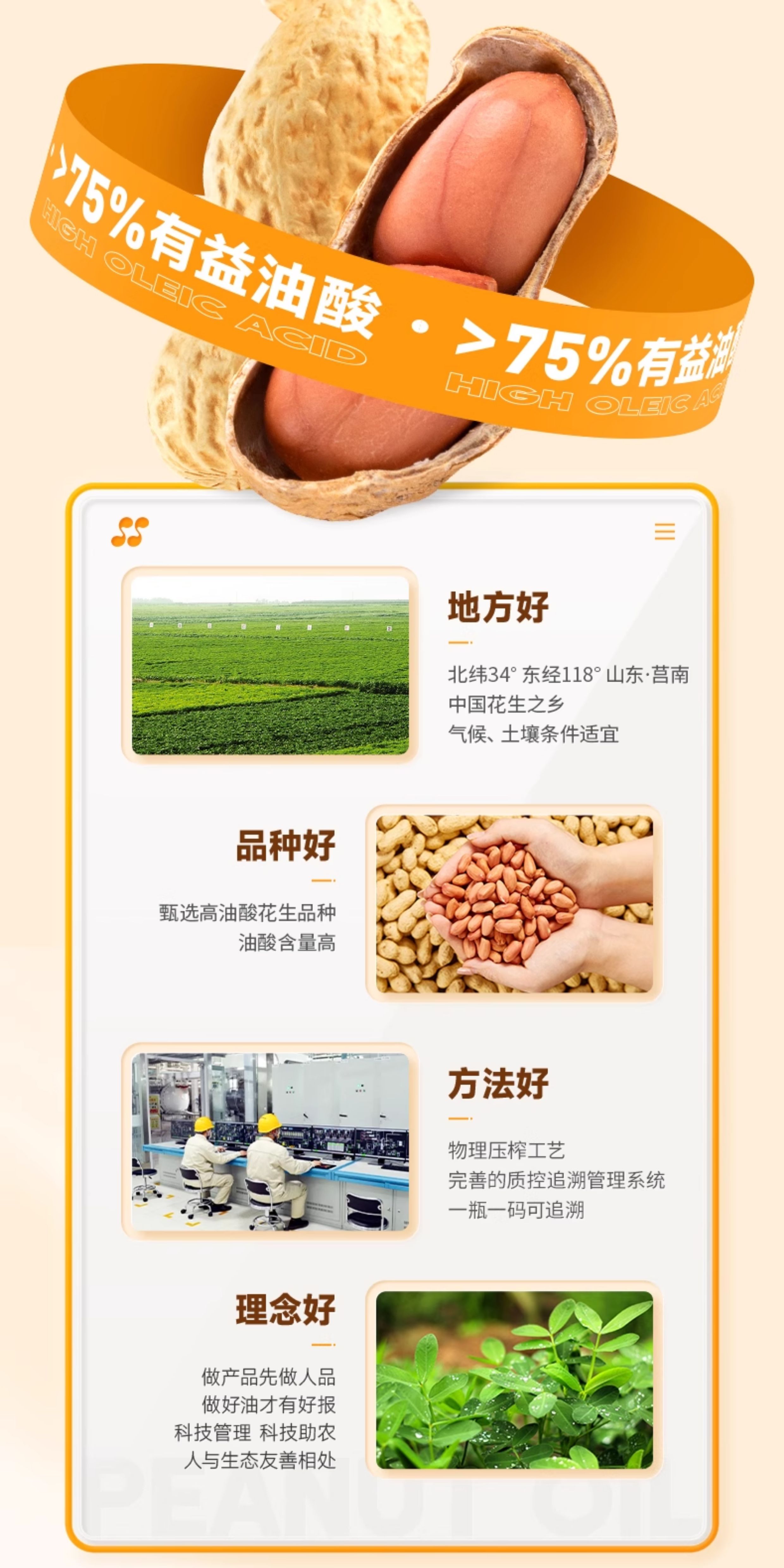 安享好物 安享A级花生油-金胜高油酸花生油 企标