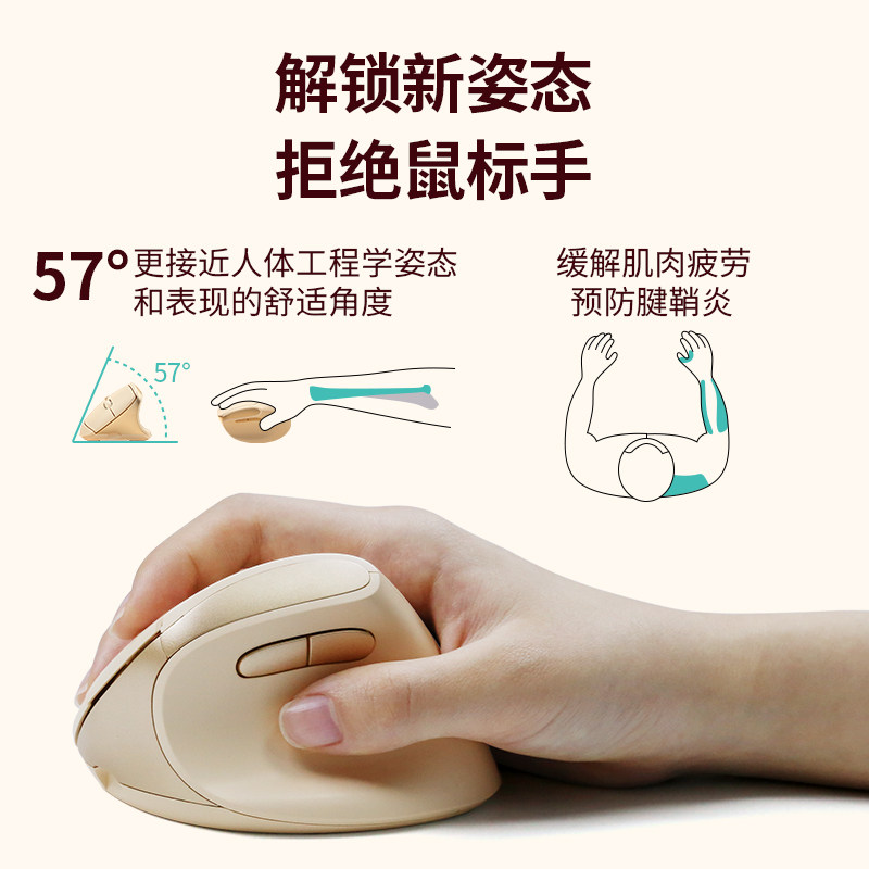Bow Premium Ergonomic Vertical Mouse Dual-Mode Wireless Bluetooth Laptop Mouse Anti-Tenosynovitis for Girls Small Size