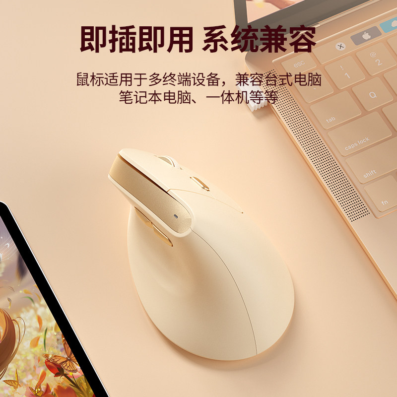 Bow Premium Ergonomic Vertical Wireless Mouse for Desktop and Laptop, Office Use, Silent
