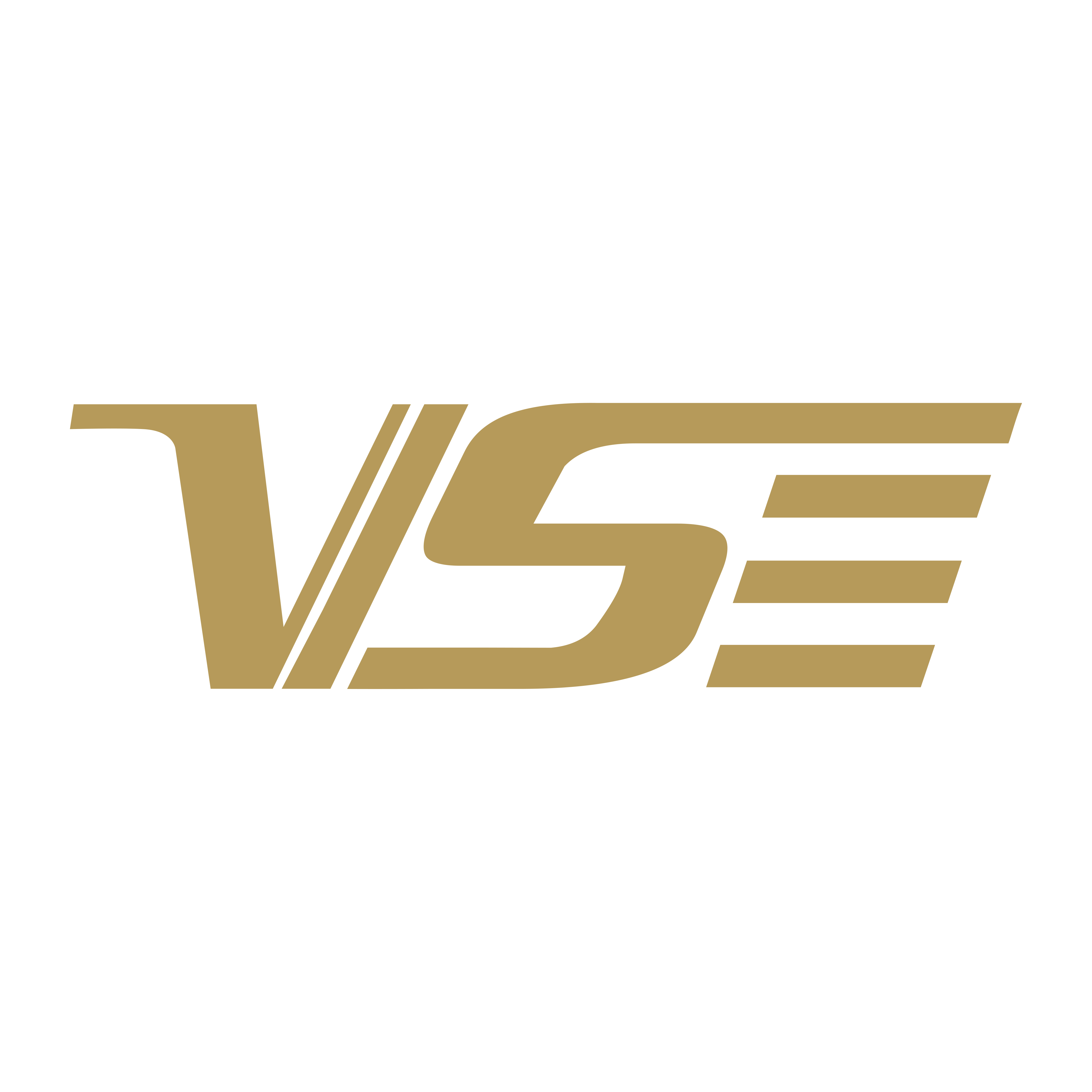 VENSON威臣飞羽专卖店的LOGO