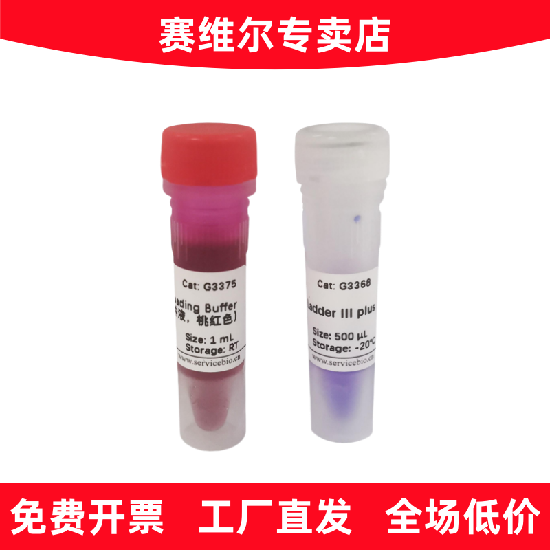 赛维尔 G3368-01 GN100bp DNA Ladder III plus